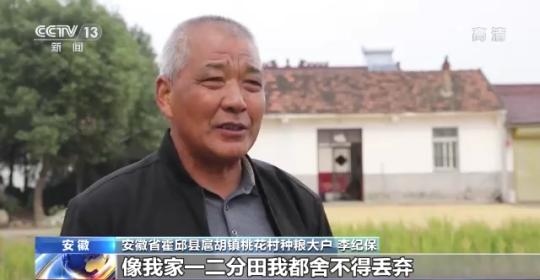 十八連豐！秋收近九成 我國糧食產(chǎn)能穩(wěn)步提升