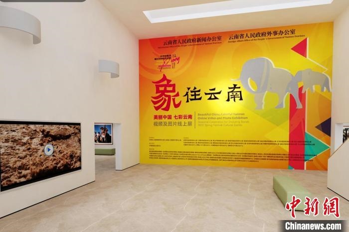 圖為“象”往云南——美麗中國 七彩云南視頻及圖片線上展截圖?！『h(yuǎn)航 攝