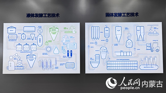 科拓生物工藝技術展示。人民網(wǎng)記者 張雪冬攝
