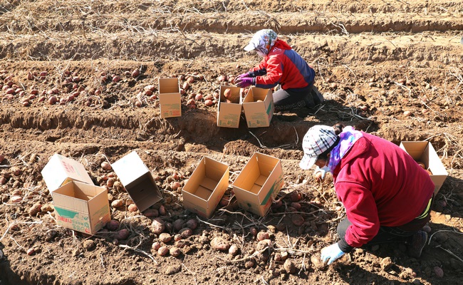 1600599854978761.jpg 7O5A5505.JPG