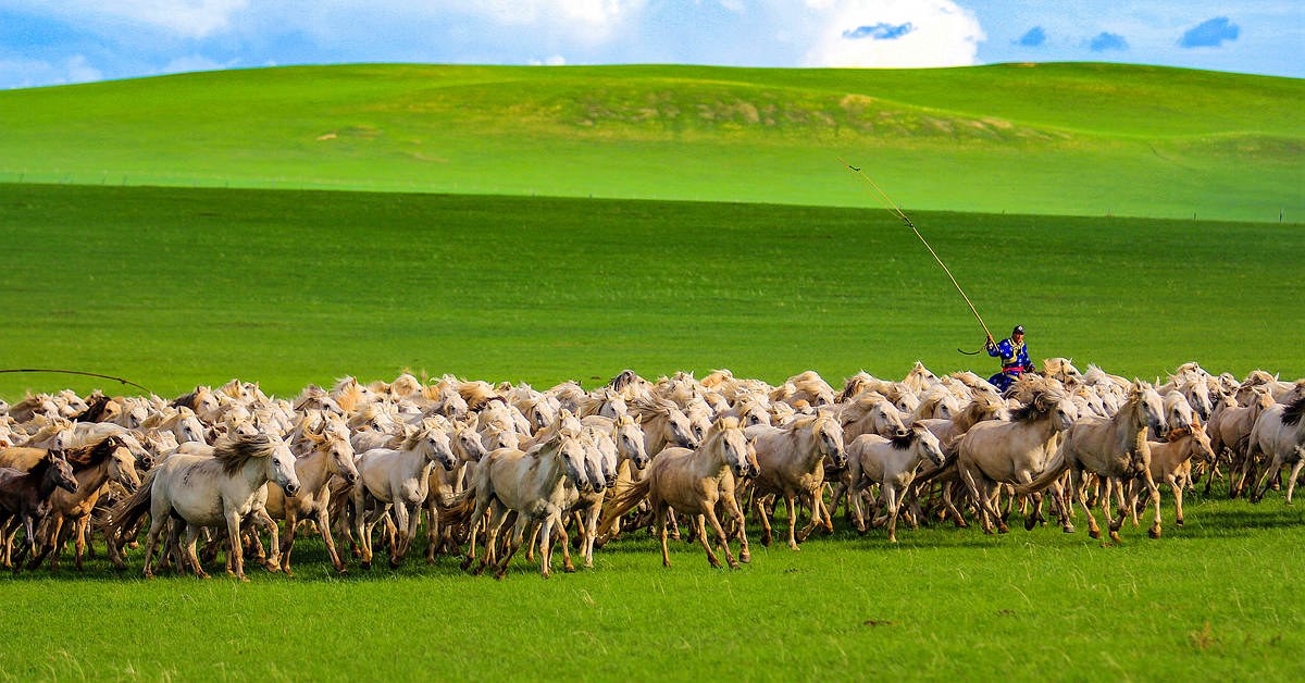 1612339995440674.jpg 微信圖片_20210203161059.jpg