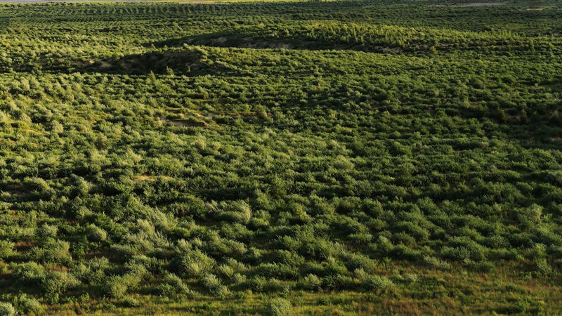 1656552318328633.jpeg ca5c0e3c8c091e31025a89f85bddd817_副本.jpeg