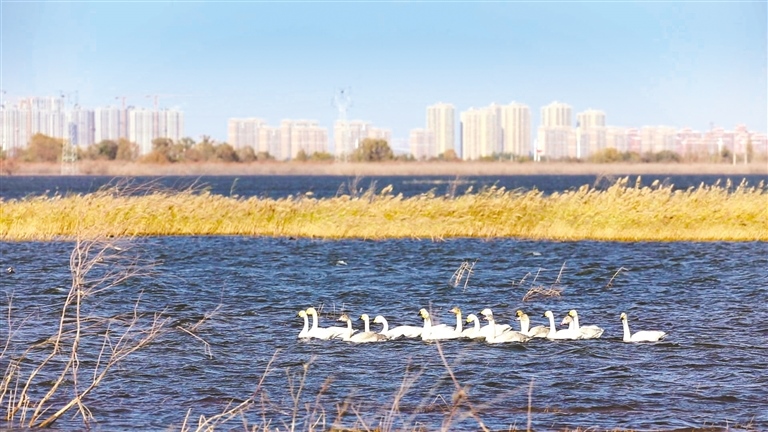 1667527912646294.jpg 2473547_wt_1667486075803_s.jpg