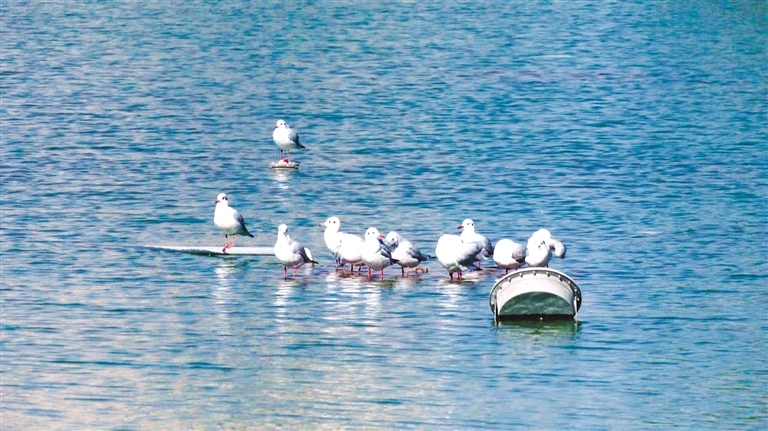 1667527918905517.jpg 2473536_wt_1667486033163_s.jpg