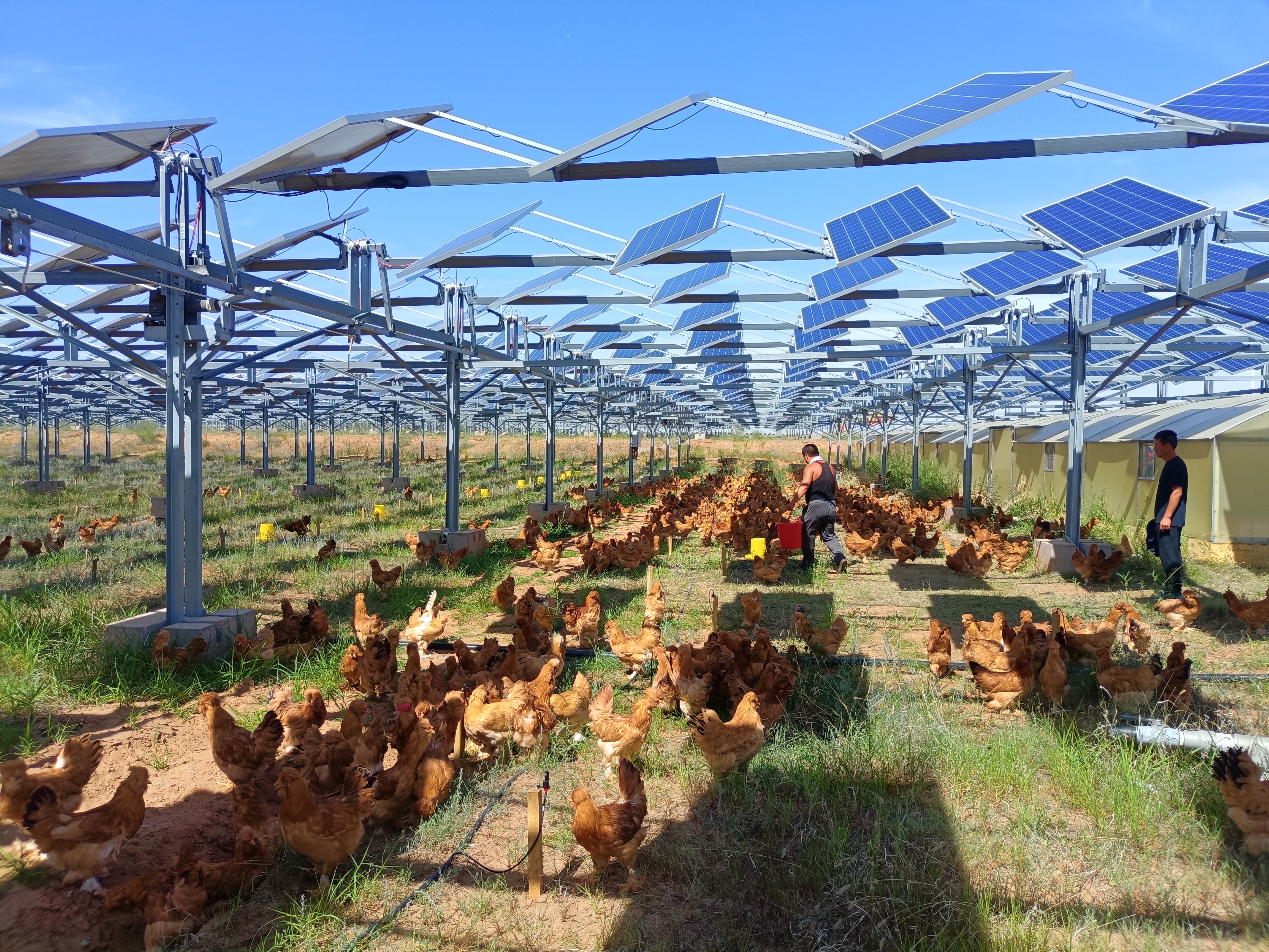 1698044407125093.jpg 1698043551288.jpg