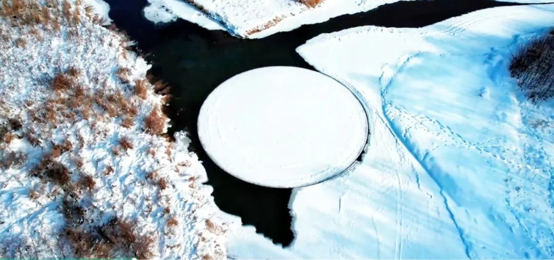 1700924719128574.jpg W020231124353651773332.jpg