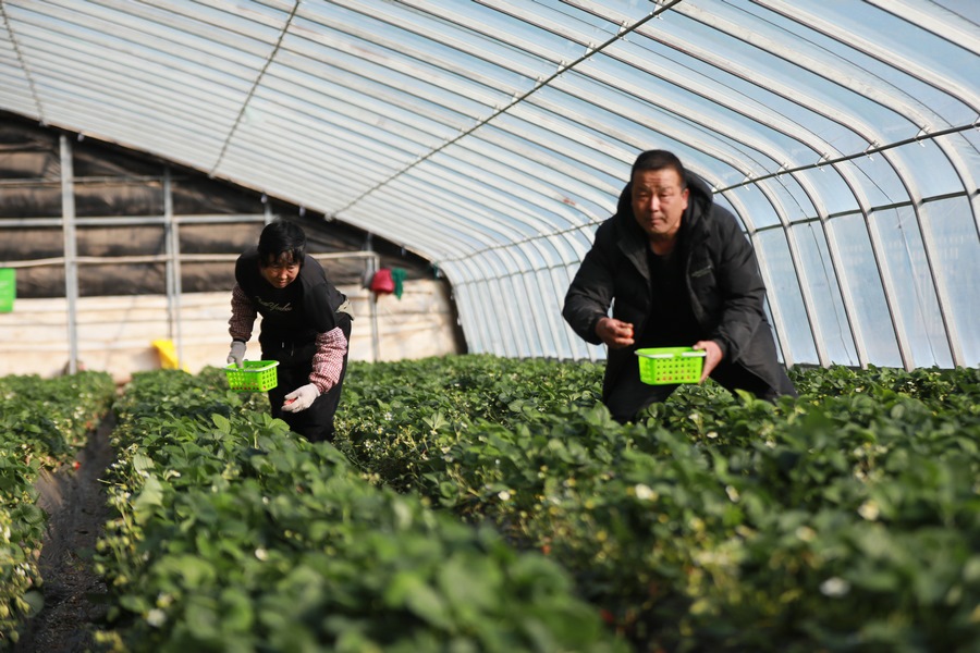 1709456635264989.jpg 7O5A8050.JPG