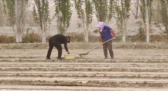 1713783668467239.png 第55個(gè)世界地球日1665.png