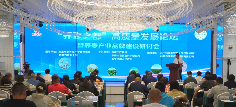 1723455746904269.png 圖片3.png