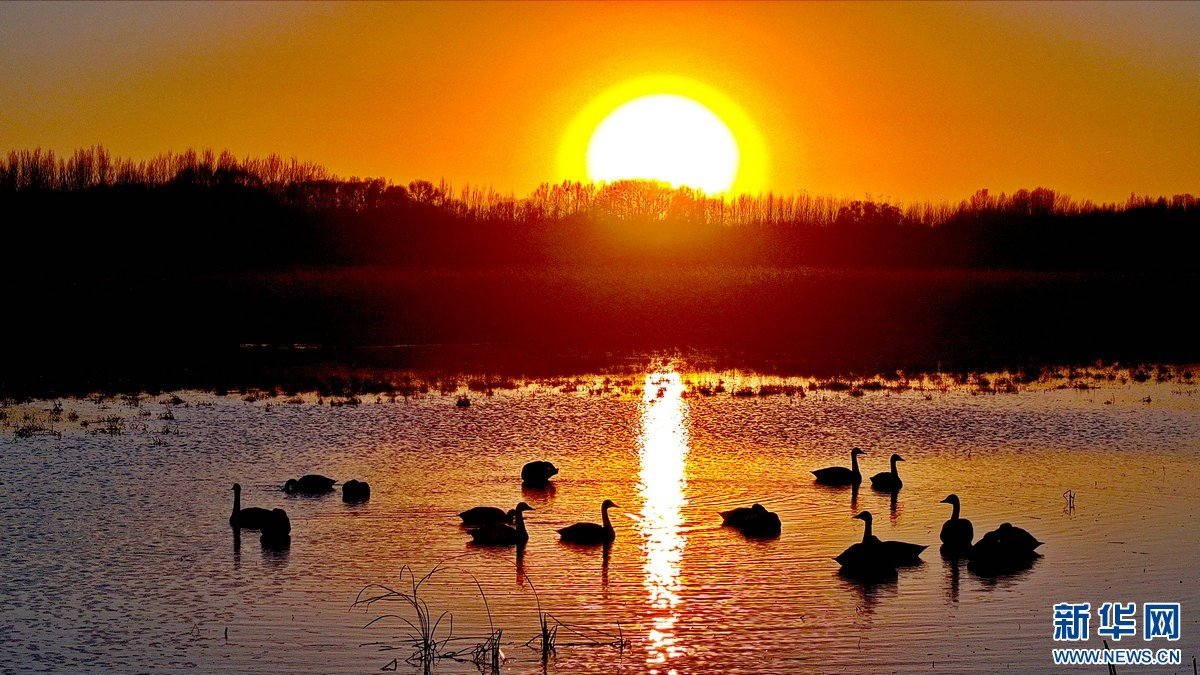 1731738871136621.jpg 33.jpg