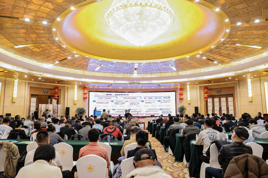 1737361460272003.jpg 12681823.jpg