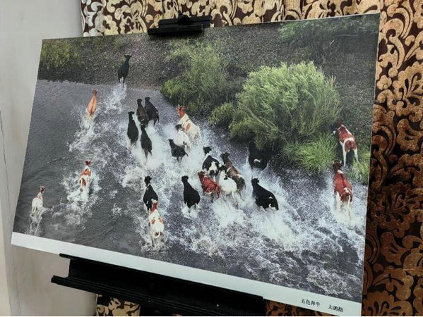 1737362993310603.jpg 9.jpg