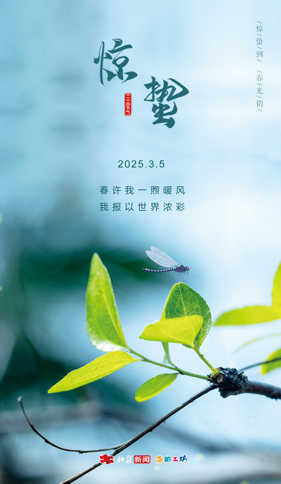 1741136342468616.jpg _DSC2271.JPG