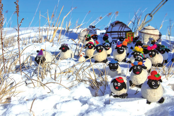 1742178753237277.jpg 羊毛.jpg