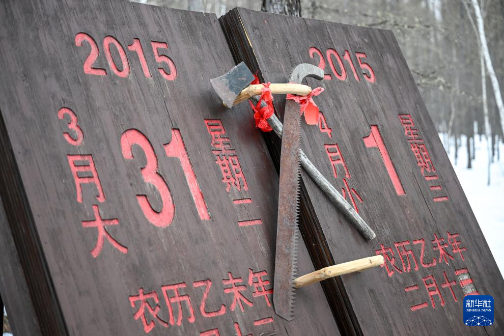 1743493361121439.jpg _DSC2271.JPG