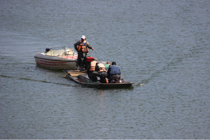 1745113251573398.png 魚(yú)2.png