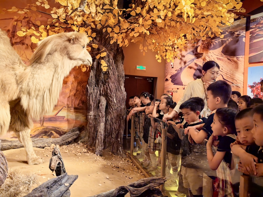 1750142898423475.jpeg WechatIMG11355.jpeg