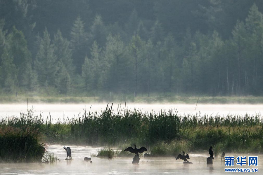 1753760363117007.jpg 202507288e7b878edf4443a883859788672d1fef_2025072823389a9c64404b3aad5bb7861745d855.jpg