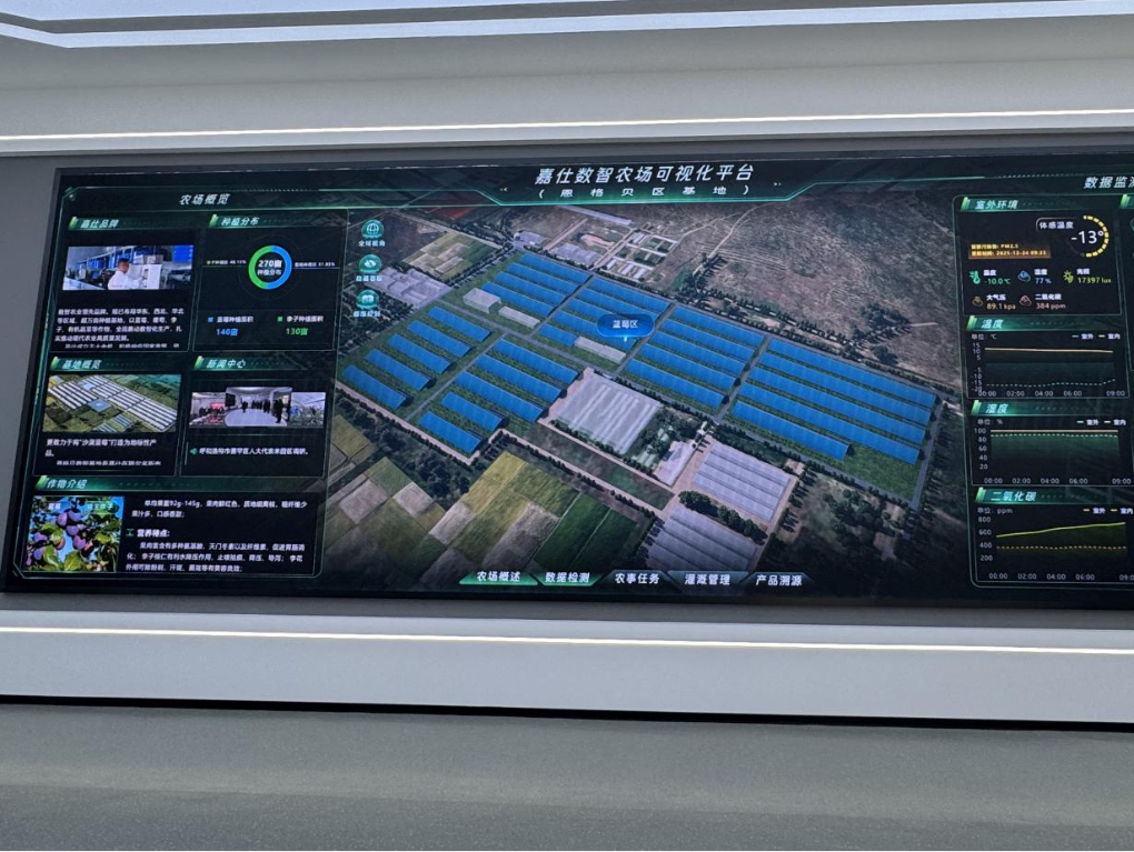 1768291683998423.png 20260112嘉仕農業(yè)藍莓栽培科技示范基地數(shù)智農業(yè)可視化平臺新華網.png