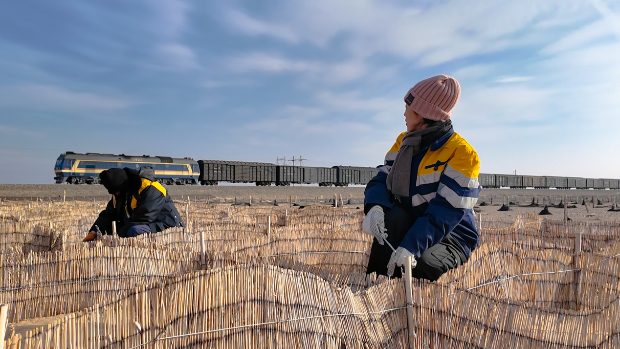 1771396170978112.png 3圖片1.png