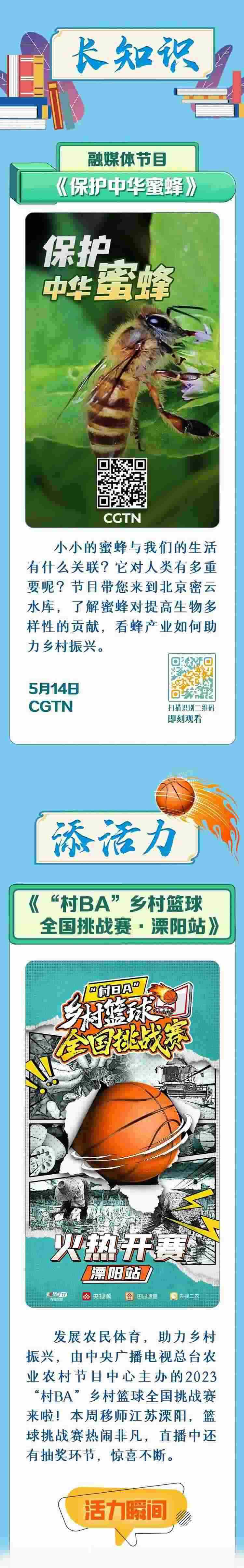 總臺周看點(diǎn)，來了！