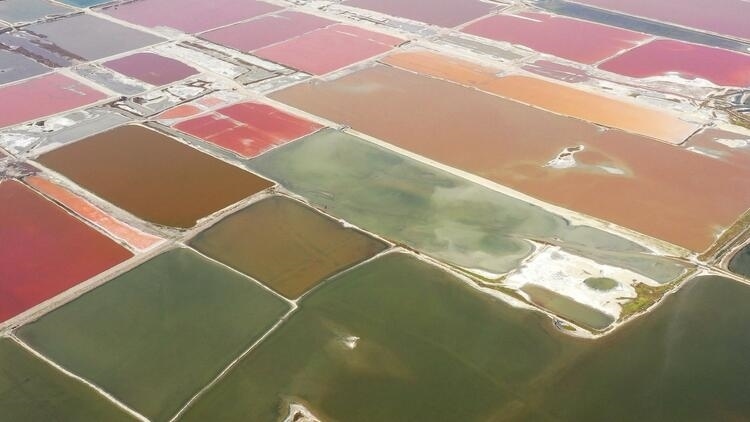 鑒往知來(lái)，跟著總書(shū)記學(xué)歷史丨走進(jìn)一座博物館，尋根五千年中華文明