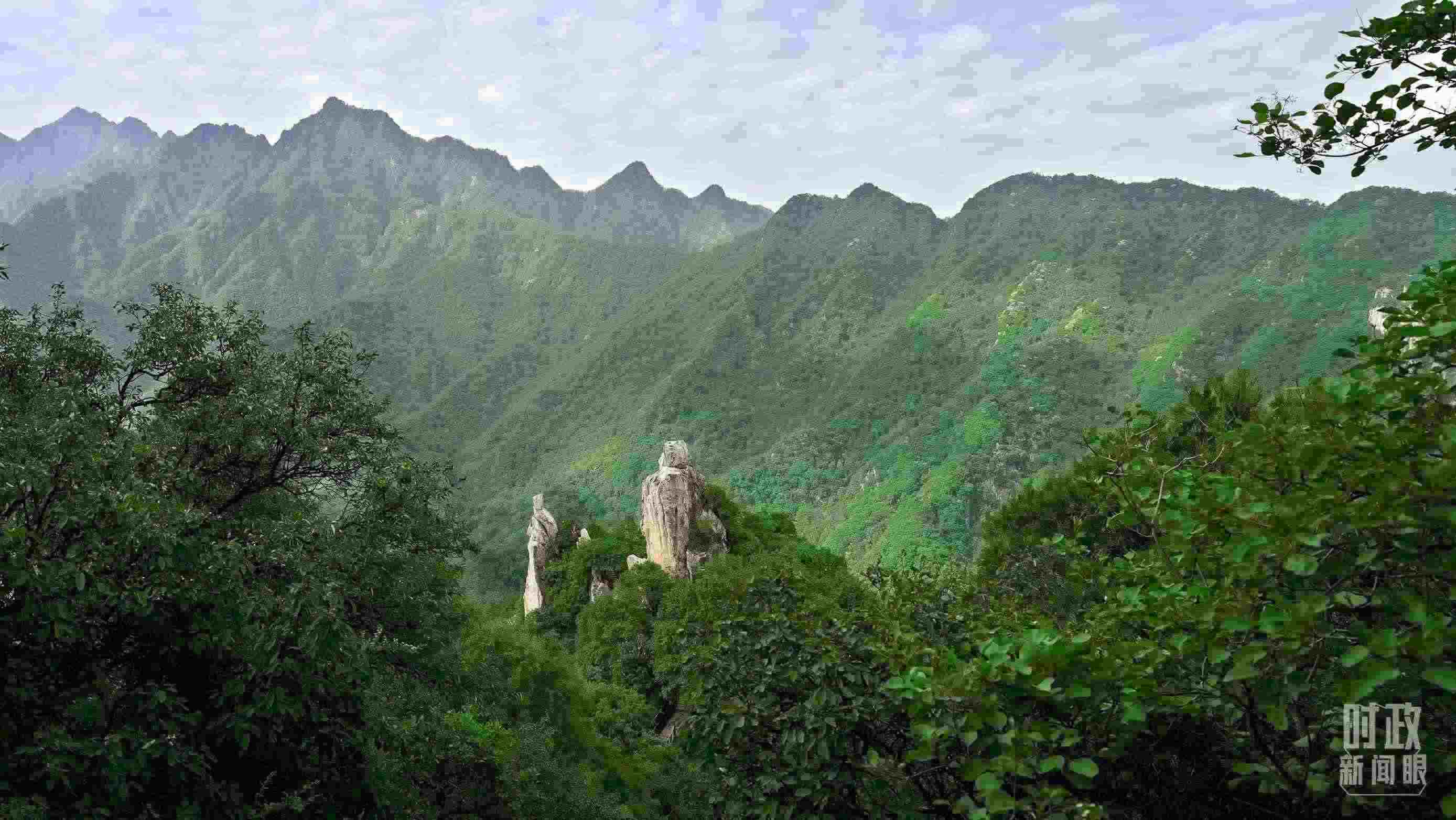 △秦嶺。（圖／視覺中國）