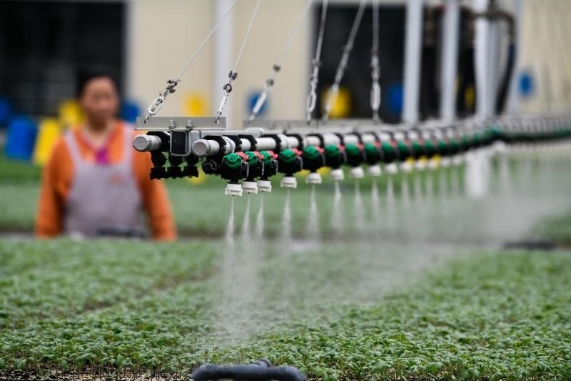 工人在貴陽(yáng)市開陽(yáng)縣楠木渡蔬菜良種繁育中心查看自動(dòng)噴灌系統(tǒng)給辣椒苗澆水情況（2023年5月24日攝）。新華社記者 楊文斌 攝