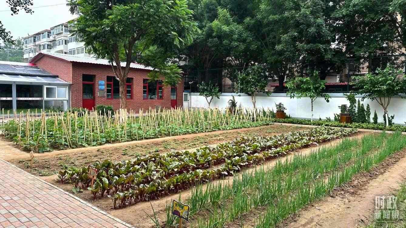 △學(xué)生農(nóng)場。（總臺(tái)央視記者趙化拍攝）