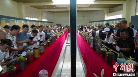 圖為活動(dòng)現(xiàn)場。 云南省委臺(tái)辦供圖