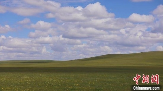 圖為點(diǎn)點(diǎn)新綠在原野上蓄勢待發(fā)。 歐戈 攝