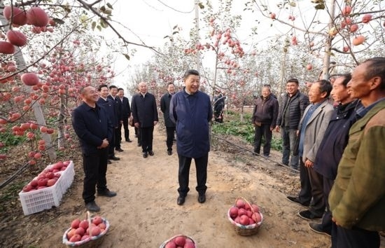 2022年10月26日，習(xí)近平總書(shū)記在陜西省延安市安塞區(qū)高橋鎮(zhèn)南溝村蘋果園同老鄉(xiāng)們親切交流。