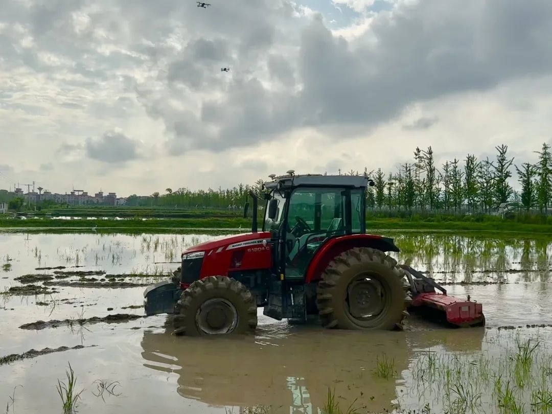 浙江省金華市東陽市城東街道寀盧村的一臺無人駕駛耕地機。靜玄 攝