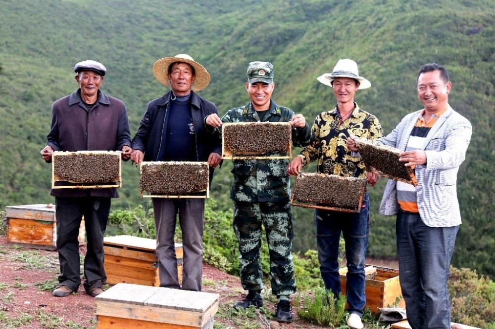 ↑武警四川總隊(duì)涼山支隊(duì)精準(zhǔn)幫扶昭覺縣梭梭拉打村發(fā)展養(yǎng)蜂產(chǎn)業(yè)，總隊(duì)駐村扶貧干部布哈（中）和村民一同展示豐收成果（2019年6月12日攝）。新華社發(fā)（楊劍 攝）