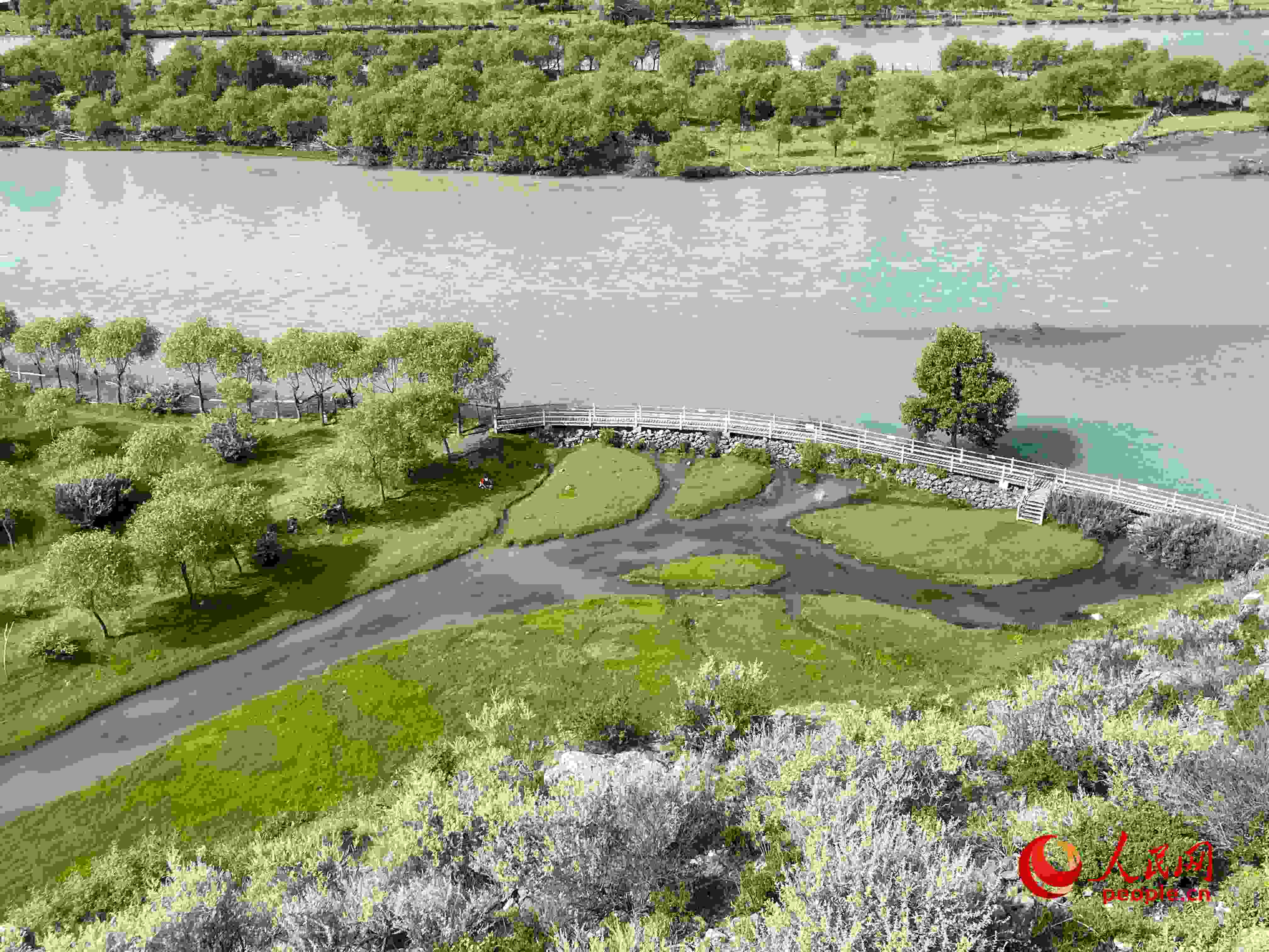 夏日的雅尼國(guó)家濕地公園生機(jī)盎然，如詩(shī)如畫。人民網(wǎng) 周靜圓攝