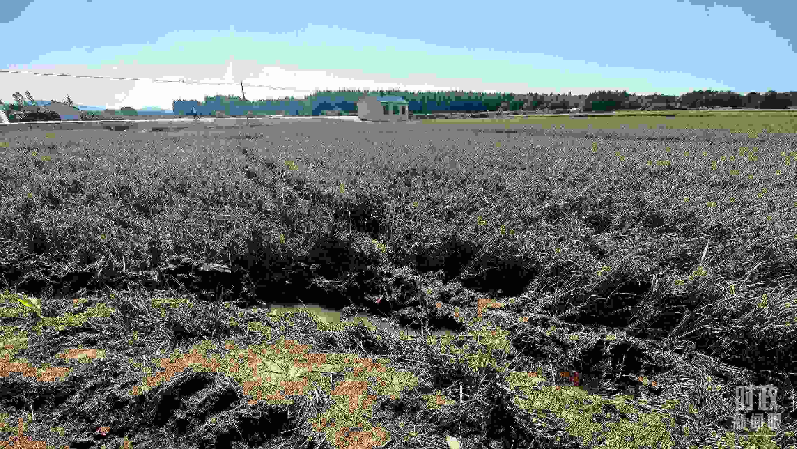 △圖為龍王廟村在洪災(zāi)中受損的農(nóng)田。（總臺央視記者史偉拍攝）