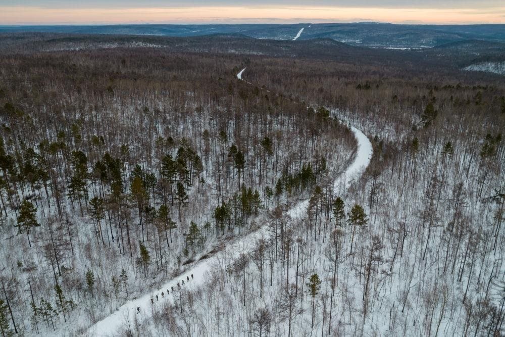 △2023年1月，漠河林場數(shù)十名職工自發(fā)組成的森林撫育隊伍，在人跡罕至的山林中作業(yè)。