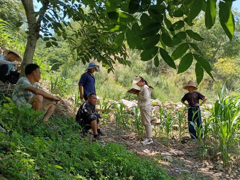 2023年7月18日，兩家村民發(fā)生土地方面的糾紛，李江女（右二）在記錄情況。受訪者供圖