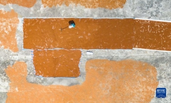 9月16日，農民在貴州省安順市西秀區(qū)大西橋鎮(zhèn)吉昌村晾曬高粱（無人機照片）。