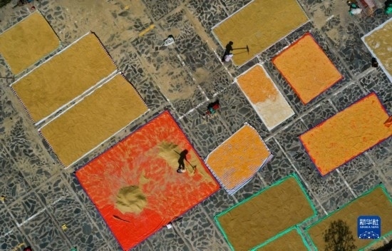 9月16日，貴州省黔東南苗族侗族自治州丹寨縣南皋鄉(xiāng)石橋村村民在晾曬農作物（無人機照片）。