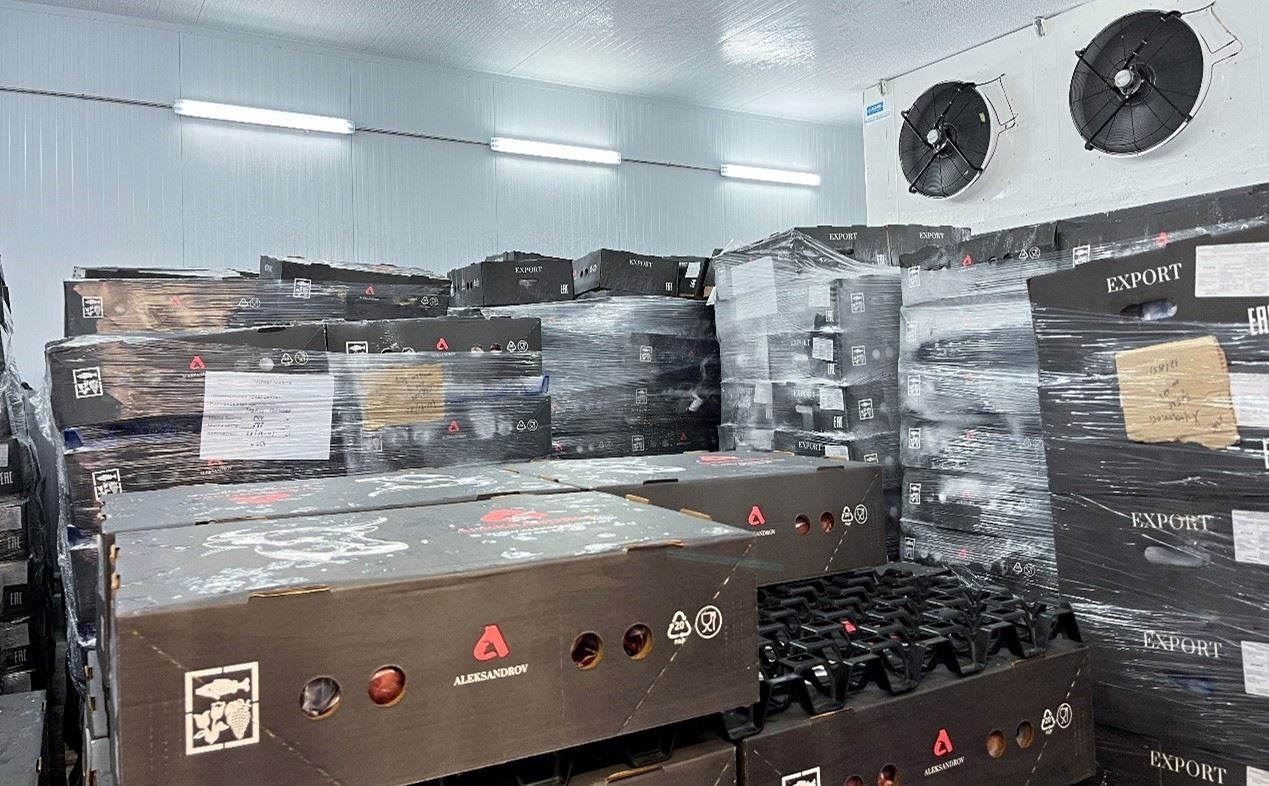 恒溫冷庫中，包裝好的牛肉等待發(fā)往中國。人民網(wǎng)記者 朱虹攝