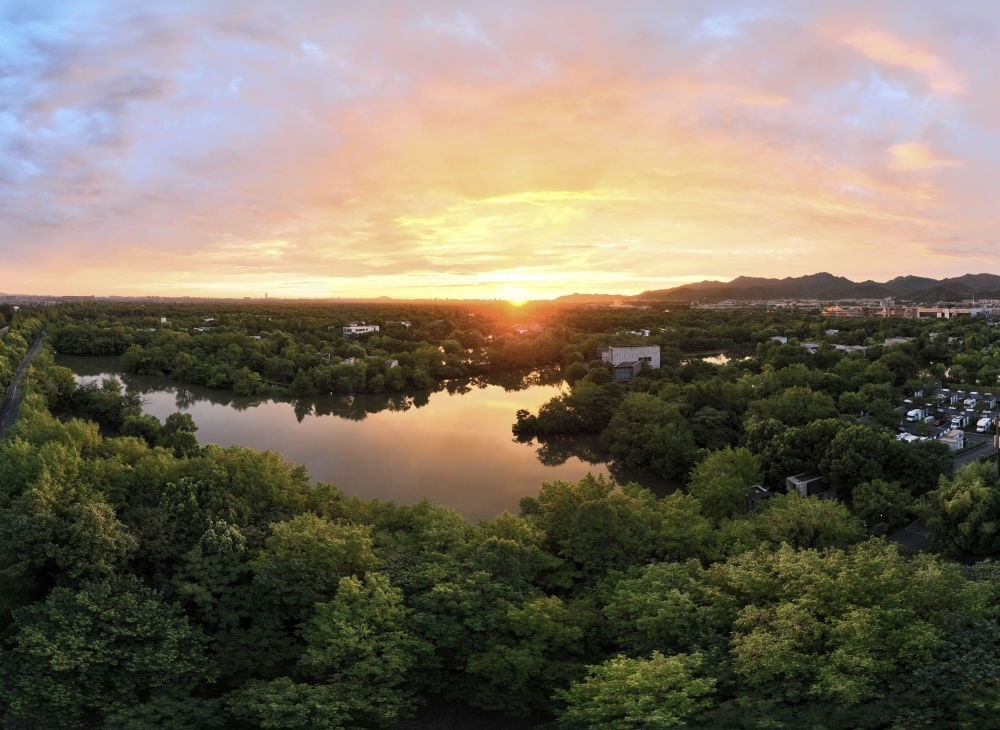 杭州西溪濕地日出景觀。
