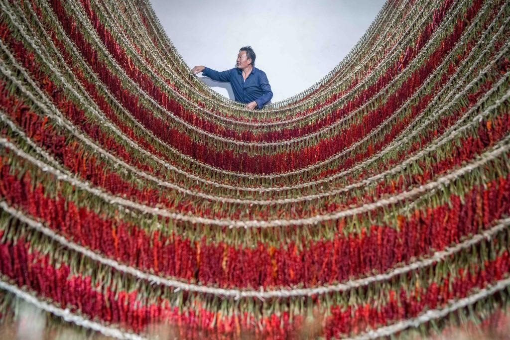 在貴州省畢節(jié)市大方縣理化鄉(xiāng)金雞村，村民查看辣椒烘干情況。新華社發(fā) 羅大富攝