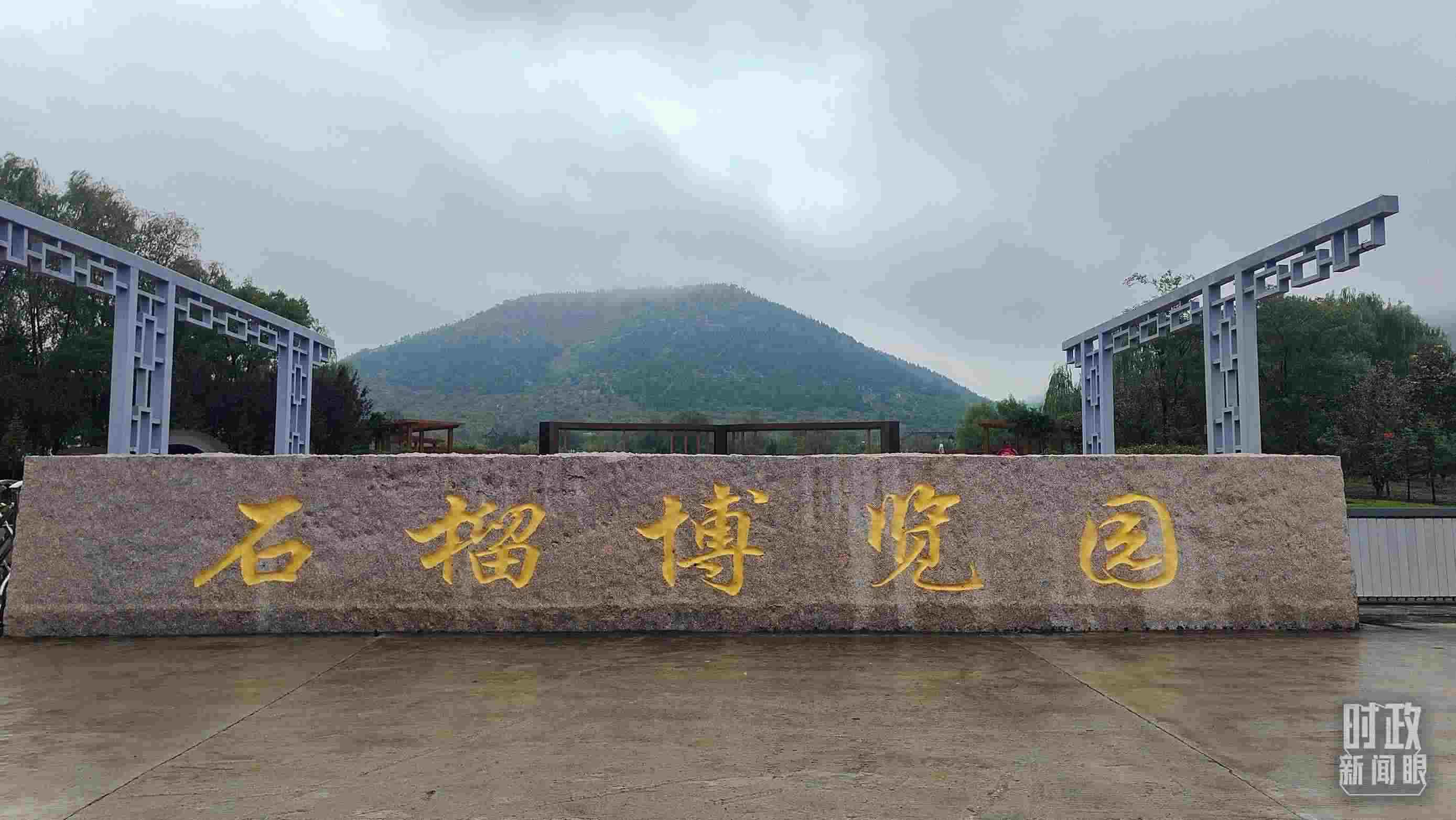 △石榴種質(zhì)資源庫位于石榴博覽園內(nèi)。（總臺央視記者楊立峰拍攝）