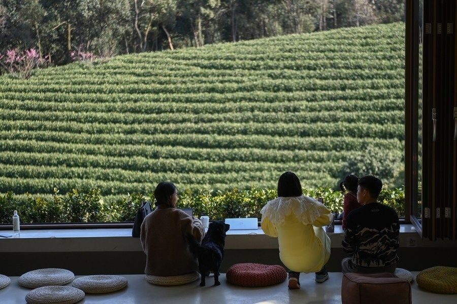 游客在浙江省安吉縣黃杜村萬畝茶園邊的咖啡館休閑（2023年2月21日攝）。