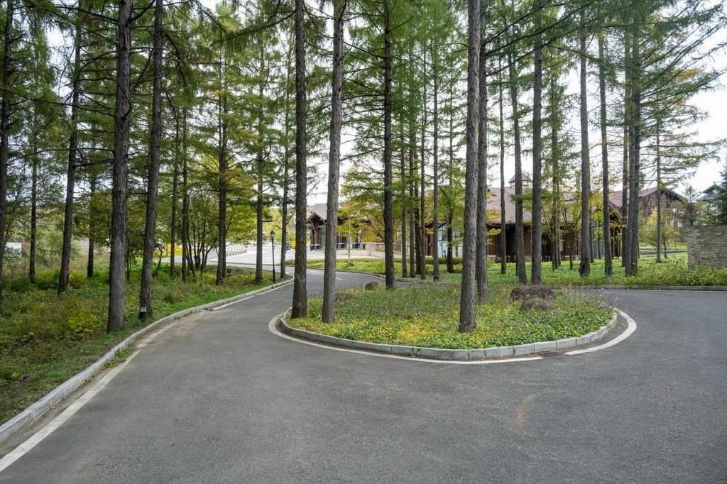 園區(qū)里“路讓樹”成為行為準(zhǔn)則。王哲攝