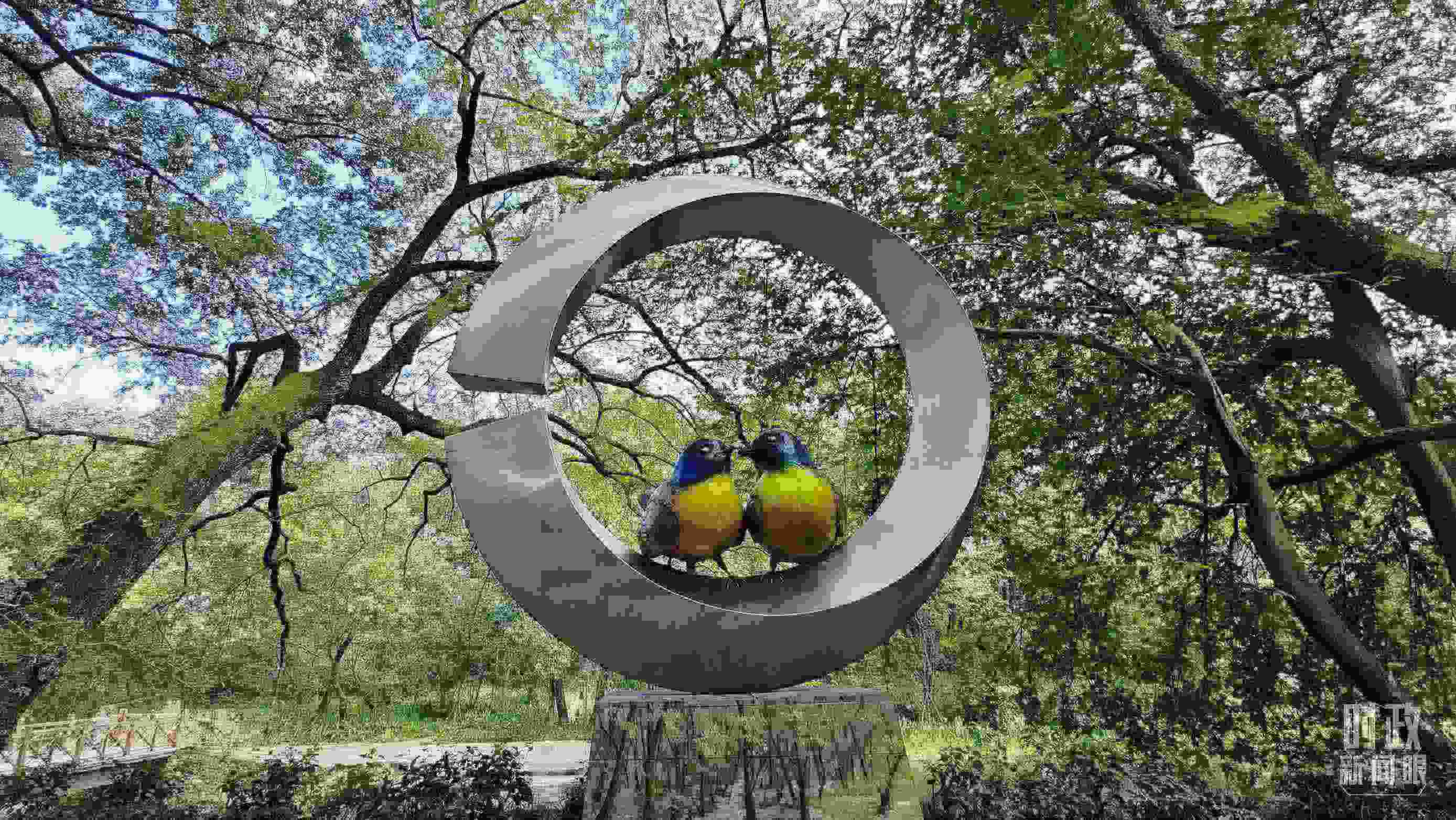 △石門村里的藍(lán)冠噪鹛雕像。（總臺央視記者許永松拍攝）