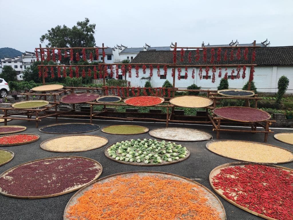 近日，江西省上饒市婺源縣秋口鎮(zhèn)王村村民晾曬的農(nóng)作物。新華社記者 劉佳敏 攝