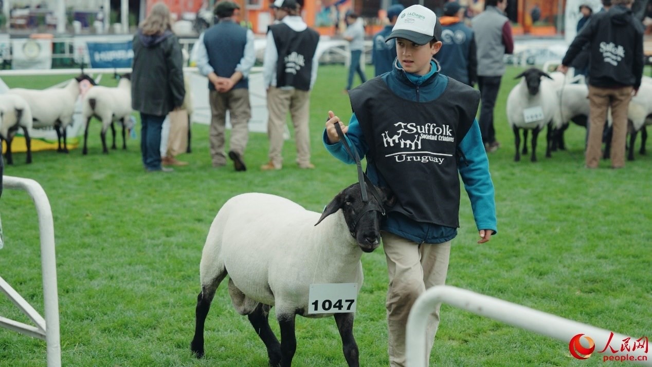 烏拉圭第118屆普拉多牧農(nóng)業(yè)國際博覽會現(xiàn)場。人民網(wǎng)記者 張若涵攝