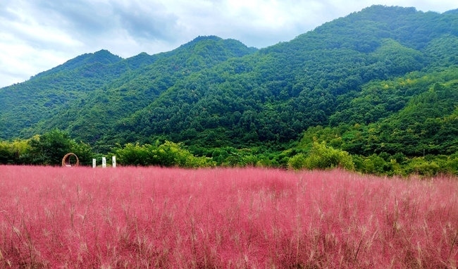 寶成線(xiàn)鳳縣境內(nèi)的路邊。